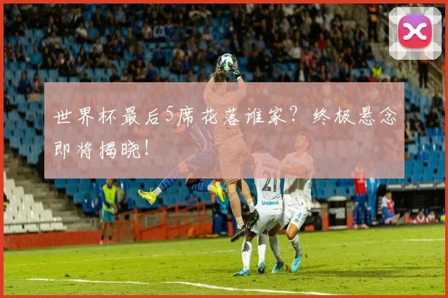 世界杯最后5席花落谁家?终极悬念即将揭晓!