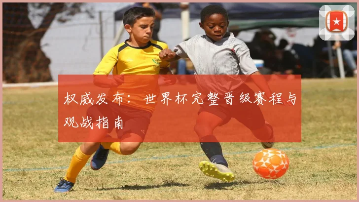 权威发布：世界杯完整晋级赛程与观战指南