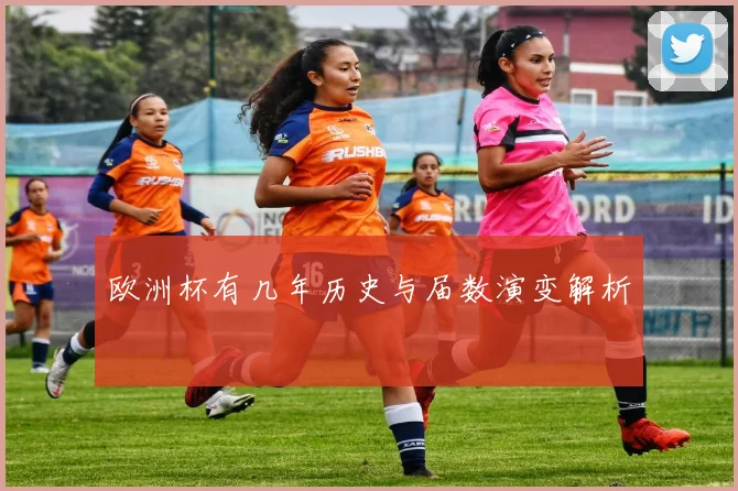 欧洲杯有几年历史与届数演变解析