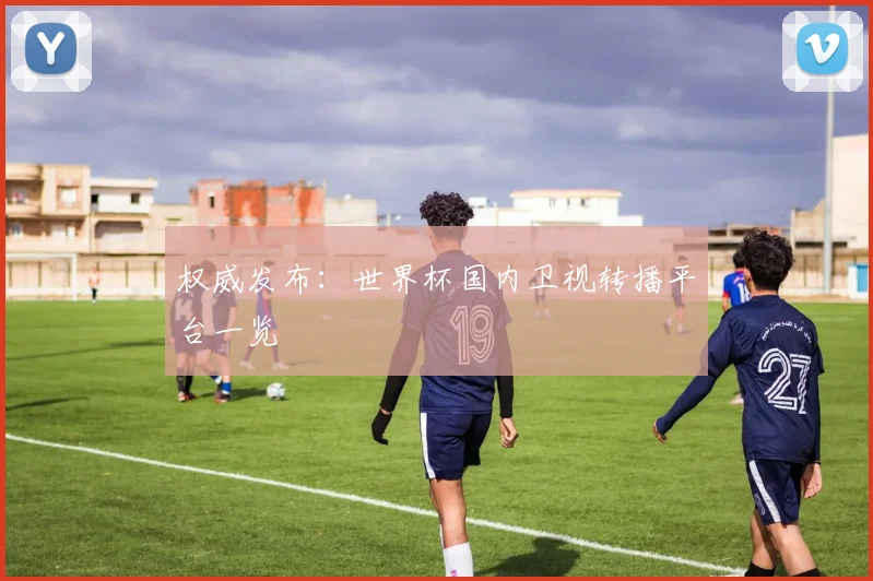 权威发布：世界杯国内卫视转播平台一览