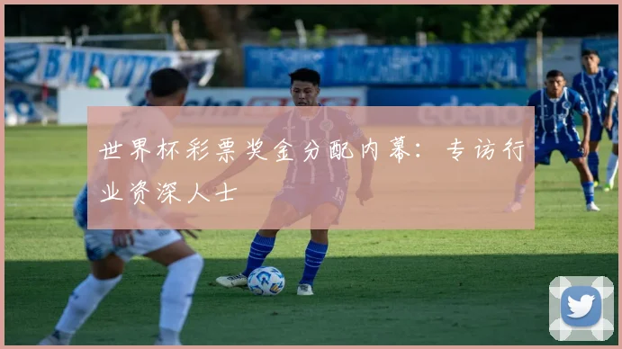 世界杯彩票奖金分配内幕:专访行业资深人士