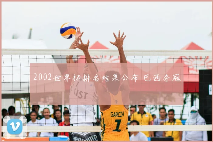 2002世界杯排名结果公布 巴西夺冠