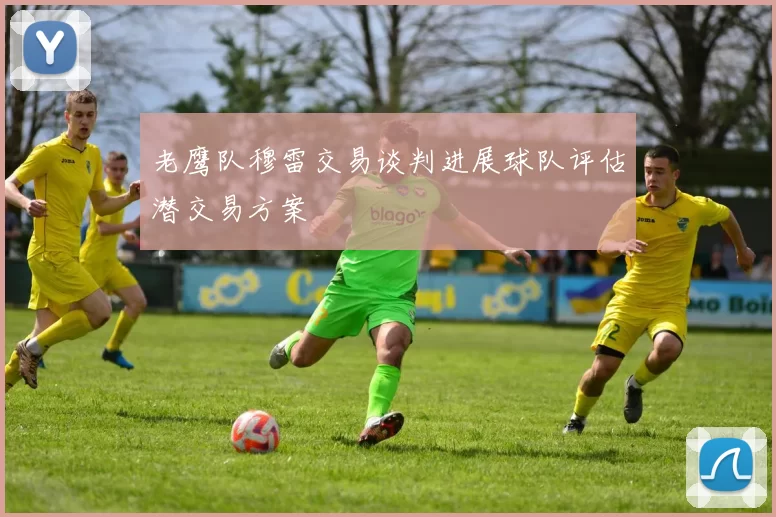 老鹰队穆雷交易谈判进展球队评估潜交易方案