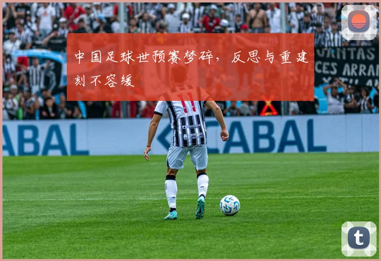 中国足球世预赛梦碎,反思与重建刻不容缓