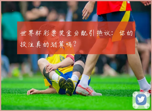 世界杯彩票奖金分配引热议:你的投注真的划算吗?