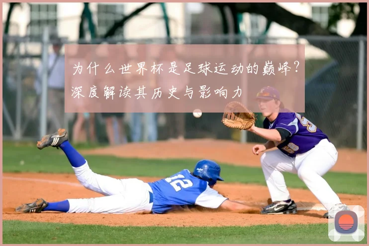 为什么世界杯是足球运动的巅峰?深度解读其历史与影响力