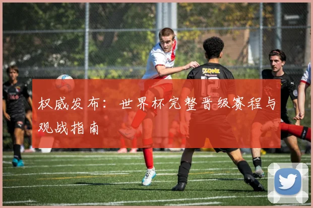 权威发布：世界杯完整晋级赛程与观战指南