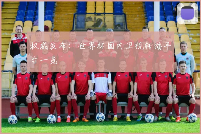 权威发布：世界杯国内卫视转播平台一览