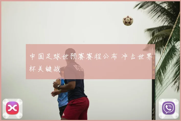 中国足球世预赛赛程公布 冲击世界杯关键战