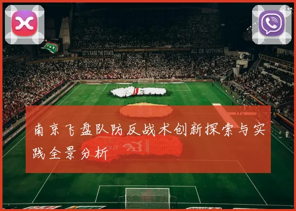 南京飞盘队防反战术创新探索与实践全景分析