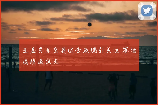 王嘉男东京奥运会表现引关注 赛场成绩成焦点